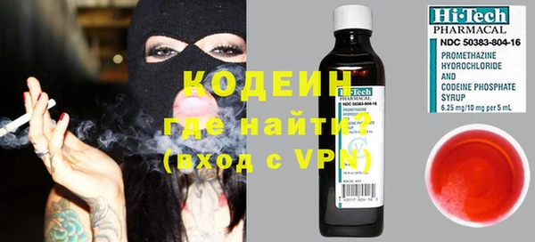 индика Армянск