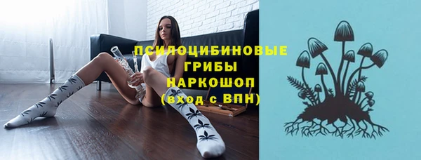 синтетический гашиш Арсеньев