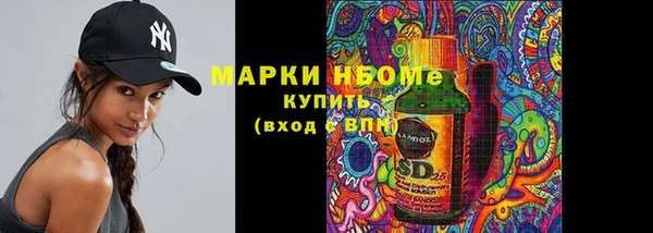 индика Армянск