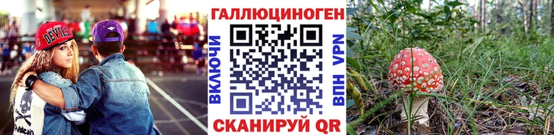 сайты даркнета формула  Миньяр  Галлюциногенные грибы Psilocybine cubensis 